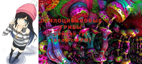 ПСИЛОЦИБИНОВЫЕ ГРИБЫ Армянск
