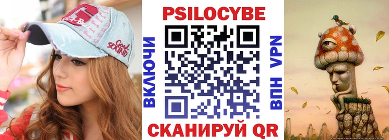 Псилоцибиновые грибы Cubensis  Бологое 